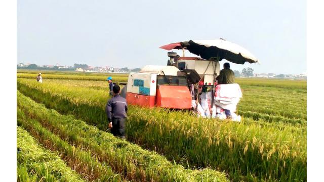 Bộ Nông nghiệp và Môi trường: Quyết giữ mục tiêu tăng trưởng 4% dù thiệt hại 97.000 tỷ đồng do thiên tai