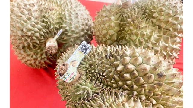 Bộ Nông nghiệp và Môi trường vừa ban hành Kế hoạch triển khai truy xuất nguồn gốc nông - lâm - thủy sản giai đoạn 2026-2030, tầm nhìn đến năm 2035