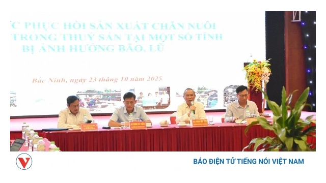 Hỗ trợ hồi phục sản xuất & Đa dạng ngành nông nghiệp sau thiên tai