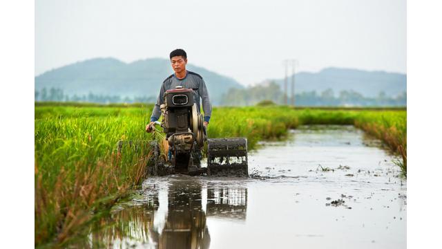 Khi ruộng đồng lên tiếng: Nông nghiệp Việt Nam đang đổi vận ra sao trước thềm vụ mới?