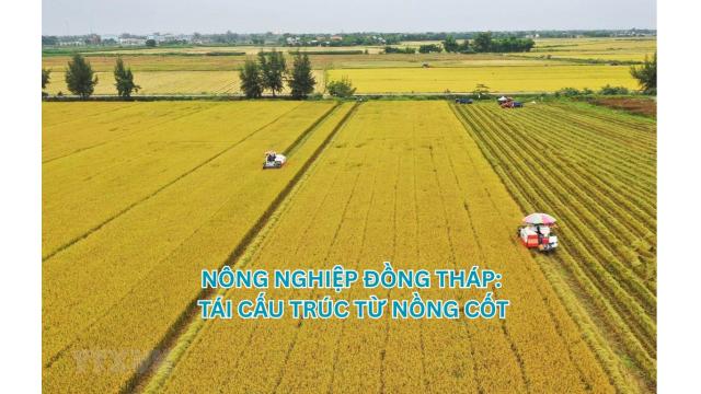NÔNG NGHIỆP ĐỒNG THÁP: TÁI CẤU TRÚC TỪ NÒNG CỐT