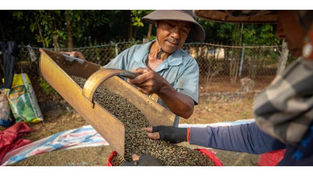 Nông nghiệp Việt Nam: Chủ động thích ứng, mở rộng xuất khẩu và hướng tới tăng trưởng bền vững
