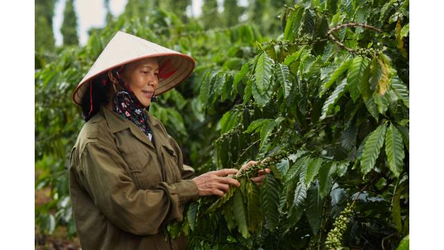 Nông nghiệp Việt Nam hôm nay: Chuyển mình mạnh mẽ trước biến động thị trường và thách thức khí hậu