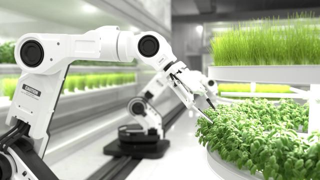 Nông nghiệp Việt Nam năm 2025: Bứt phá xuất khẩu, chuyển mình mạnh mẽ hướng tới phát triển bền vững