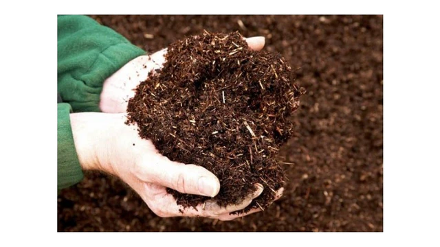 Nông nghiệp xanh: Ứng dụng vi sinh vật cải tạo đất giúp tăng năng suất bền vững