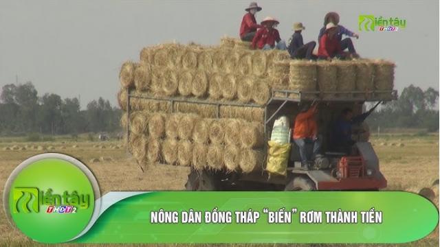 Ở Đồng Tháp: “Biến rơm thành tiền” — kinh tế tuần hoàn & tái cơ cấu nông nghiệp viet nay