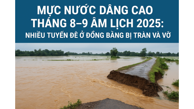 Tháng 8–9 âm lịch: Nước lên nhanh, đê bao yếu dễ vỡ – cảnh báo thiệt hại lúa và hoa màu