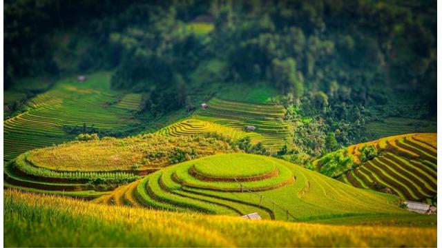 Tin Nông Nghiệp & Nông Sản Nổi Bật Hôm Nay 3/12/2025