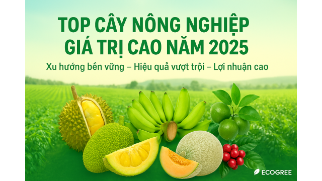 Top Cây Nông Nghiệp Giá Trị Cao Năm 2025 – Xu Hướng Canh Tác Bền Vững, Lợi Nhuận Vượt Trội