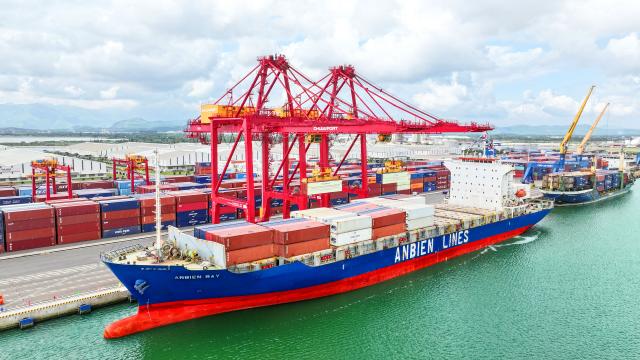 Xuất khẩu nông – lâm – thủy sản Việt Nam 2025: Con số ấn tượng