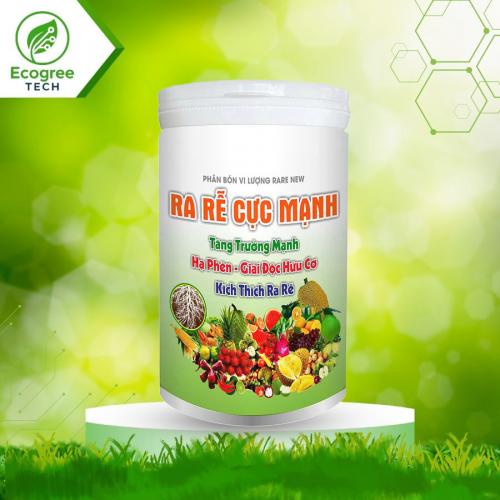 Ra Rễ Cực Mạnh
